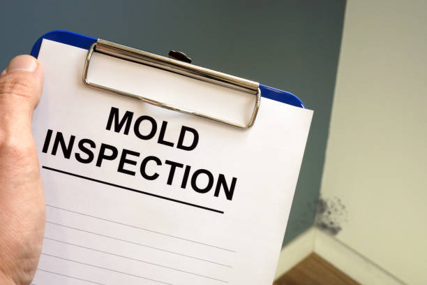 Best Commercial Mold Inspection  in Exandria, AL